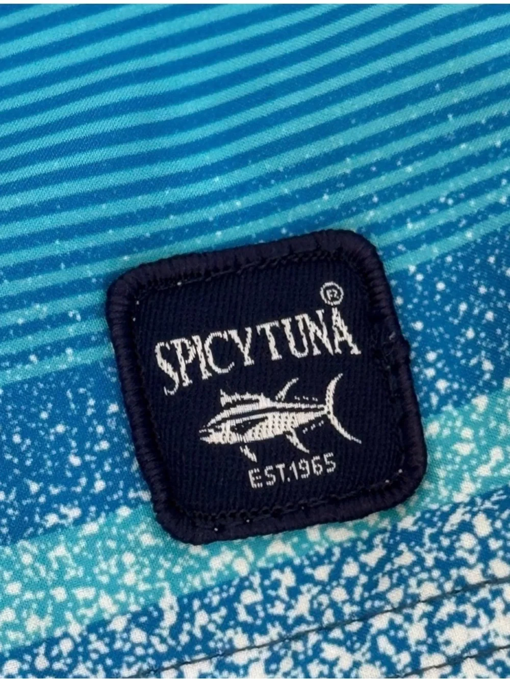 Spicy Tuna Men’s Swim Trunks Small Blue Multicolor Striped Board Shorts